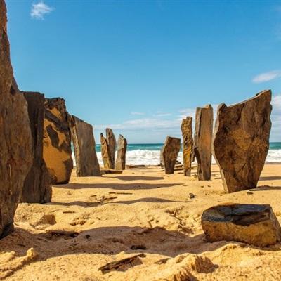 万博·体育app下载